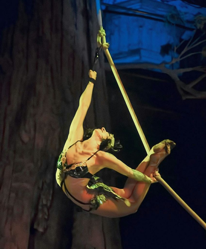 Aerial Spanish Web - Spinning Rope Act